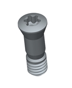 Immagine di CLAMPING SCREWS WITH HEAD ANGLE 40 °